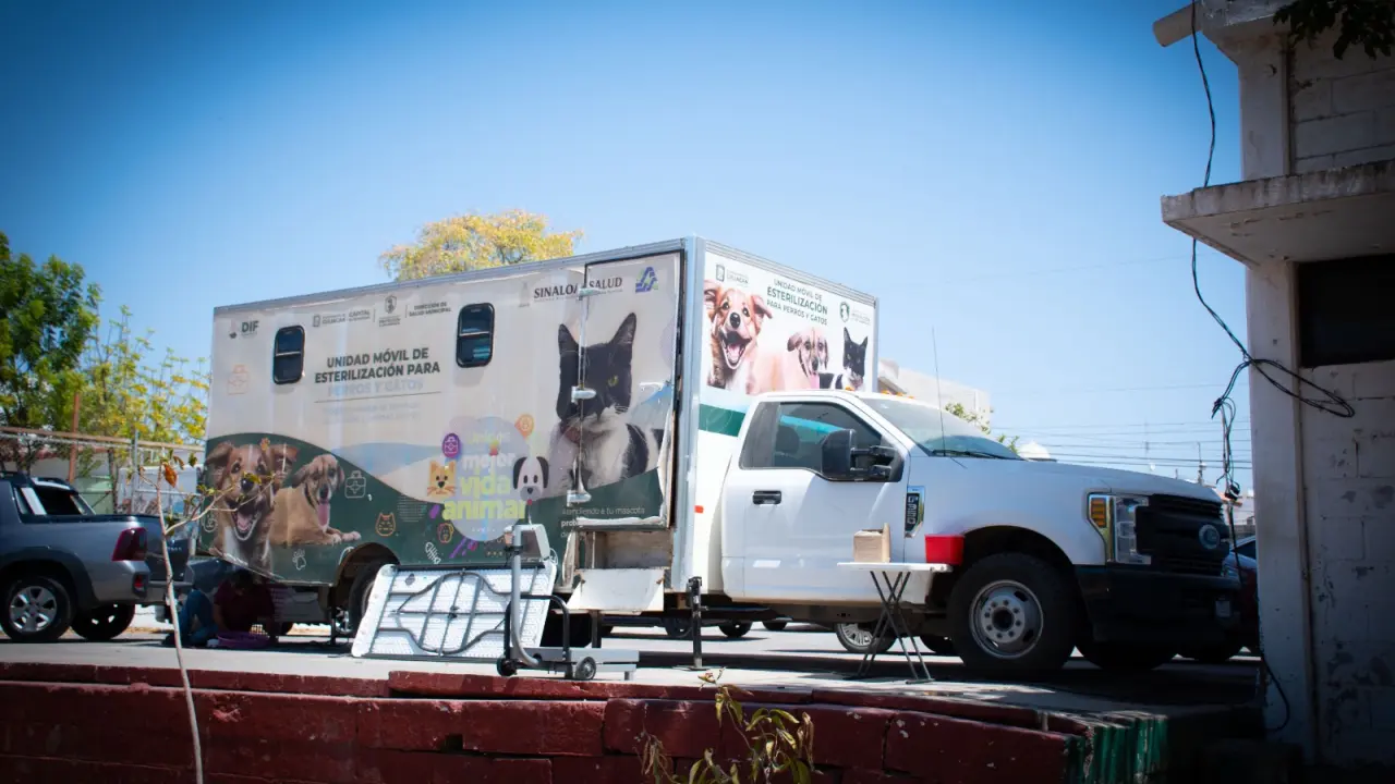 Campaña gratuita de esterilización busca reducir animales en situación de calle en Culiacán.