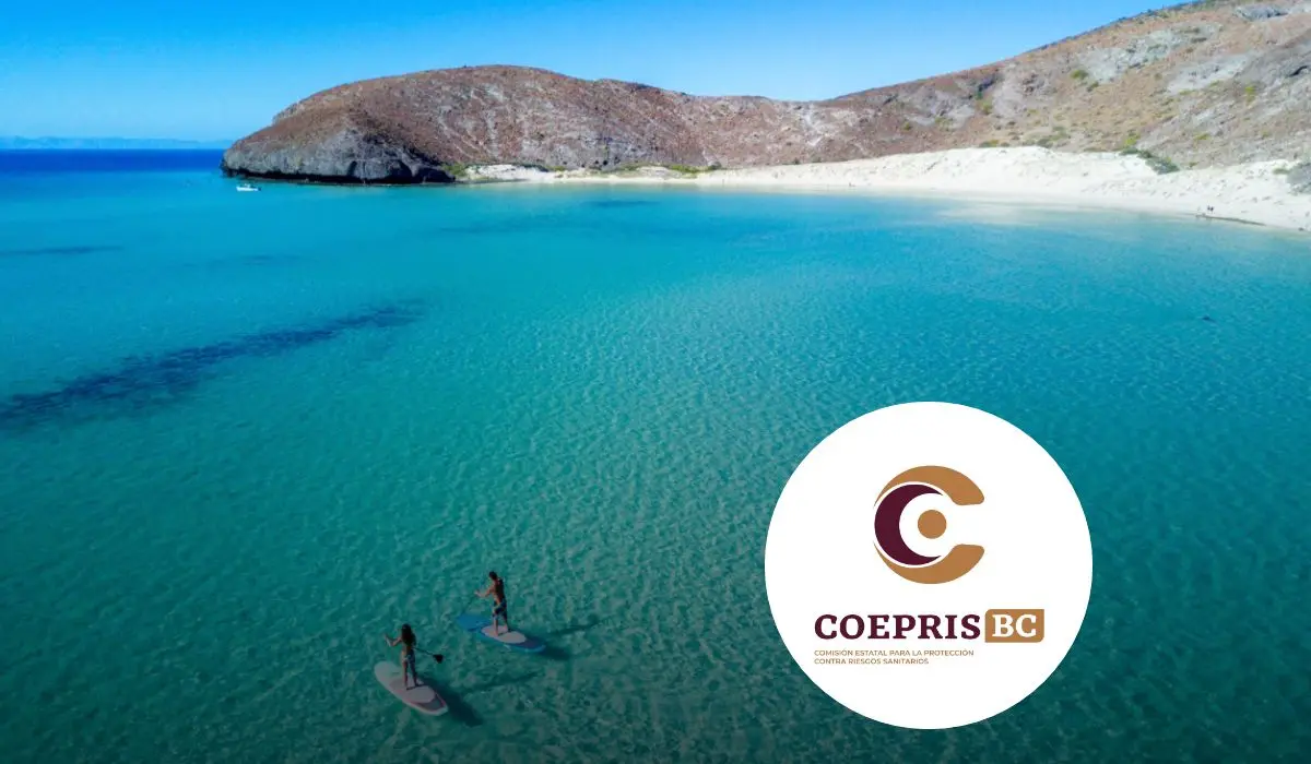 Estas son las 15 playas de Baja California que son aptas para visitar en Semana Santa. Foto: cortesía