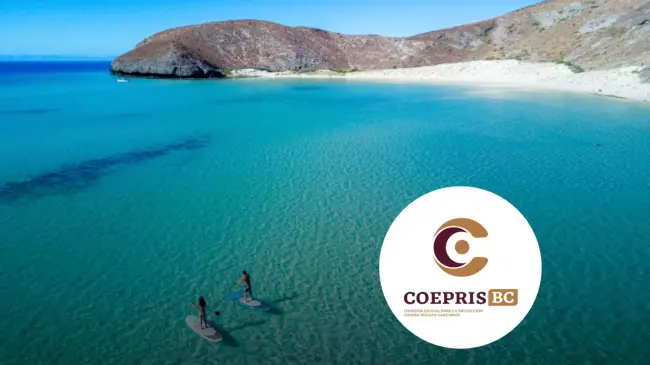 Estas son las 15 playas de Baja California que son aptas para visitar en Semana Santa. Foto: cortesía