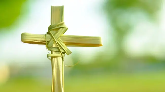 Semana Santa 2025: Cantos cristianos para el Domingo de Ramos