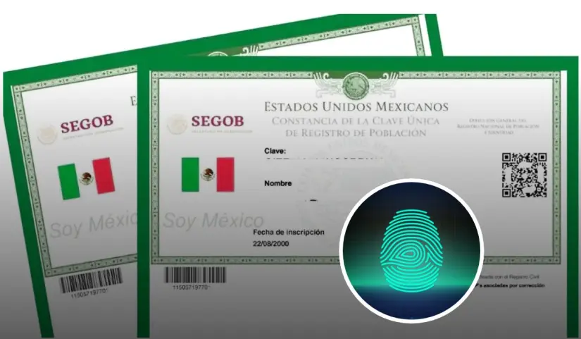 ¿Para qué trámites se usa la CURP y el INE? La CURP biométrica reemplazará la credencial del INE como documento para trámites.