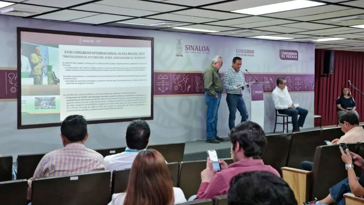 Prevén beneficios para productores de maíz hasta de 5 hectáreas en Sinaloa
