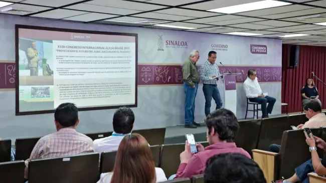 Prevén beneficios para productores de maíz hasta de 5 hectáreas en Sinaloa