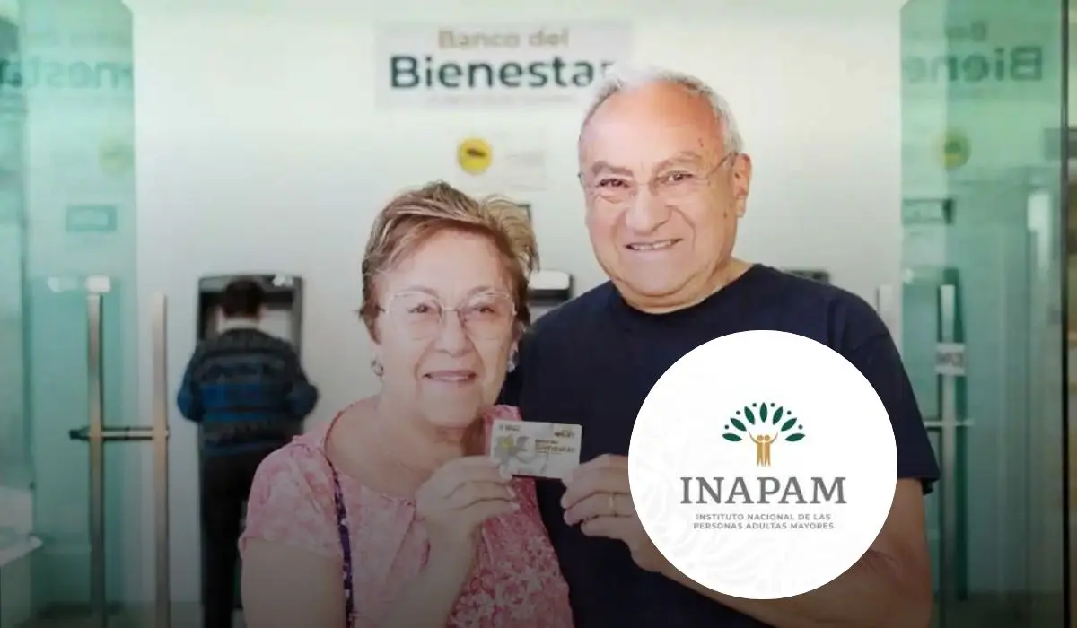 Conoce cuáles son los establecimientos donde puedes comprar tu despensa a un menor precio. Foto: Cortesía.