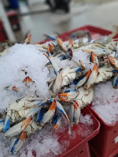 Cómo llegar a los diferentes puntos del sur de Tampico al mercado La Puntilla Foto: Chelis Yebra