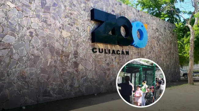 No te pierdas la agenda de actividades que el Zoológico de Culiacán tiene para ti en esta Semana Santa. Foto: Cortesía.
