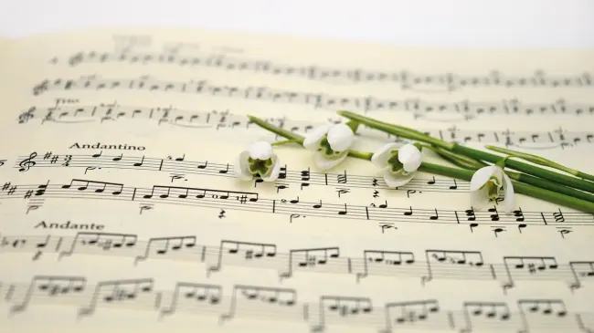 Partitura. Imagen. Pixabay.