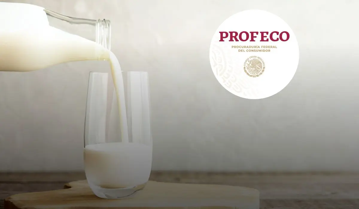 La Profeco determinó que esta es la mejor leche en México en 2025. Foto: iStock.