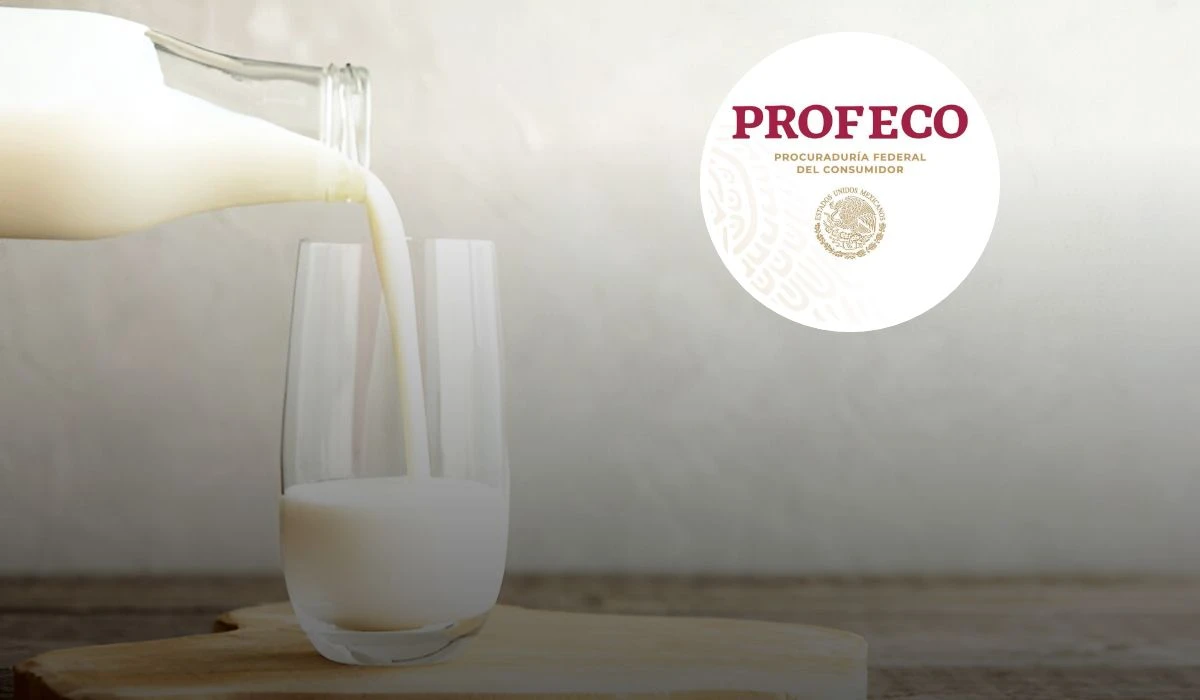 La Profeco determinó que esta es la mejor leche en México en 2025. Foto: iStock.