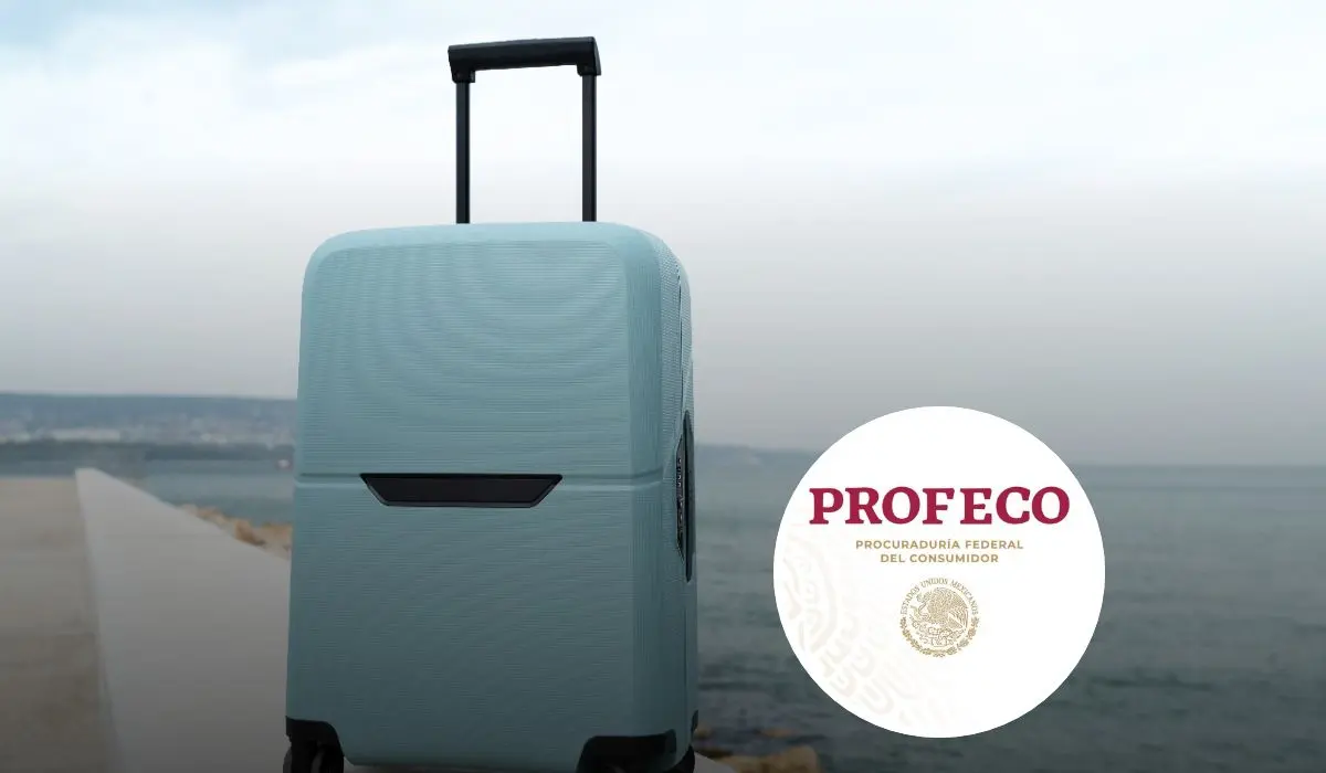 Profeco comparte sugerencias para los viajeros a que se respeten sus derechos a la hora de viajar en autobús o en avión Foto: Freepik