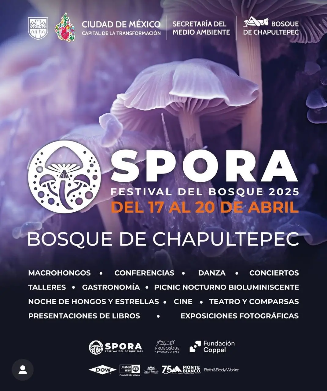 SPORA: Festival del Bosque en Chapultepec. Foto: Cortesía.