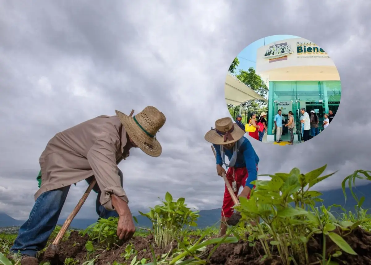 Producción para el Bienestar realiza el pago de 2025. Foto: Cortesía