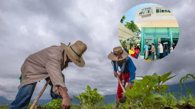 Producción para el Bienestar realiza el pago de 2025. Foto: Cortesía