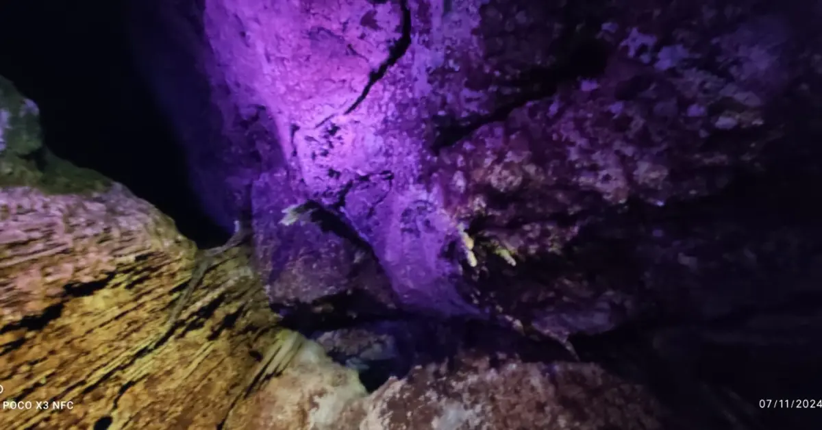 Explora las maravillas de las Grutas Xoxafi en Hidalgo