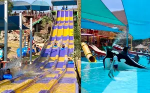 Cuánto cuesta entrar al balneario Splash Club Culiacán en  2025; actividades y horarios