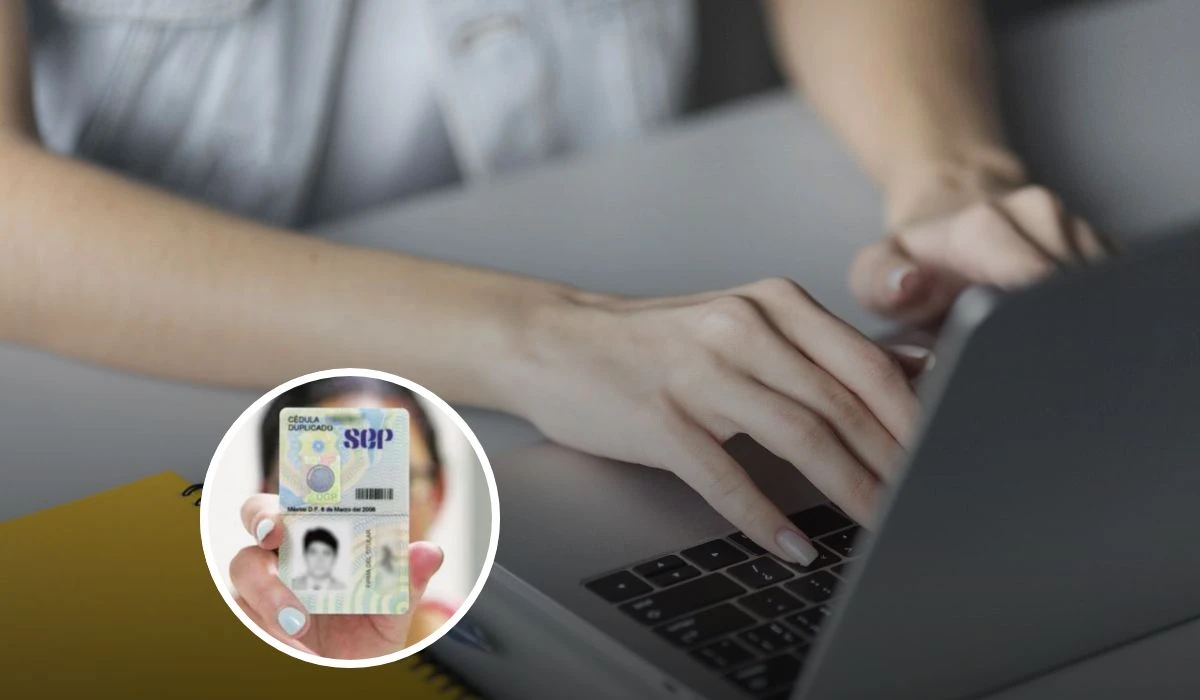 Consultar la cédula profesional en internet
