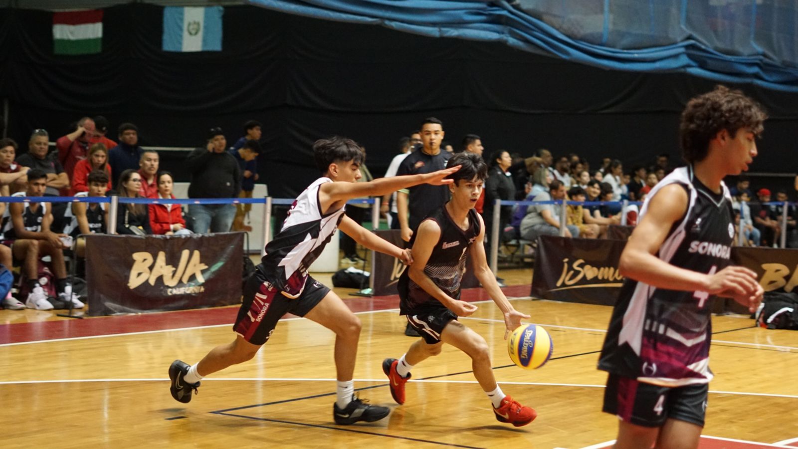 Imagen 13