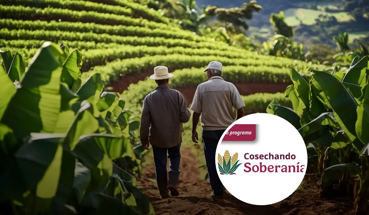 Apoyo a productores del campo y de las costas por parte de un programa del Bienestar