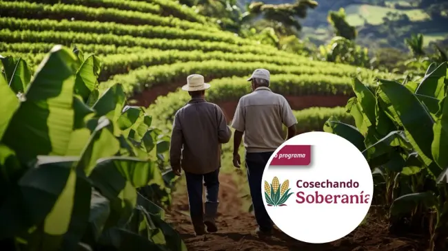 Apoyo a productores del campo y de las costas por parte de un programa del Bienestar