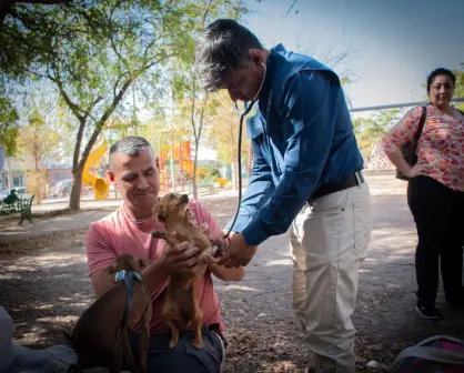 Culiacán promueve el bienestar animal con campaña de esterilización gratuita en DIF Vallado