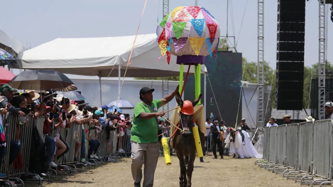 Estos son los detalles de las actividades culturales en Edomex. Foto: Cortesía.
