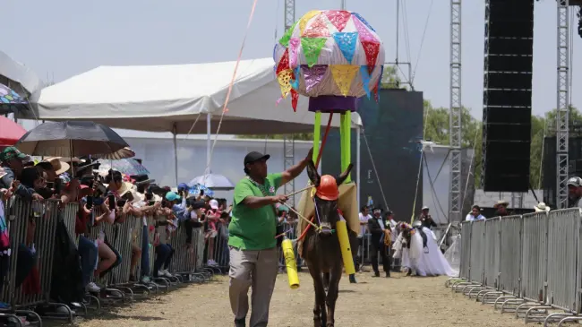 Estos son los detalles de las actividades culturales en Edomex. Foto: Cortesía.