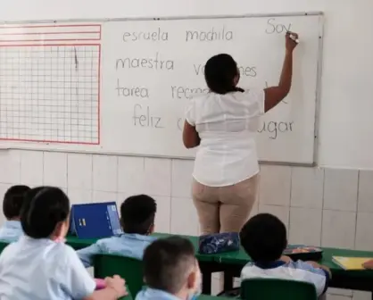 Ley Tere: ¿Cuál es el origen de esta iniciativa ciudadana en México?