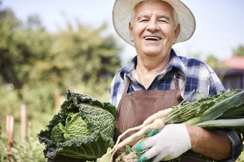 Habrá un mejoramiento en la comercialización de productos del campo y las costas. Foto: Freepik