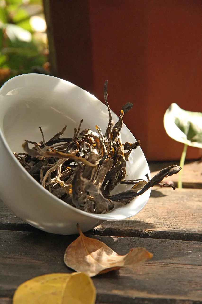 Efectos secundarios al consumir el té Pu-erh Foto: Pixabay