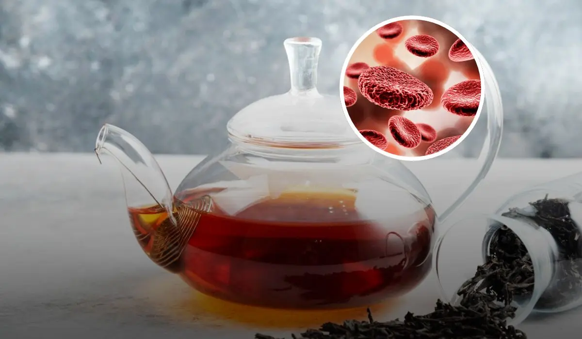 Beneficios y efectos secundarios al consumir el Té Pu-erh Foto: Freepik