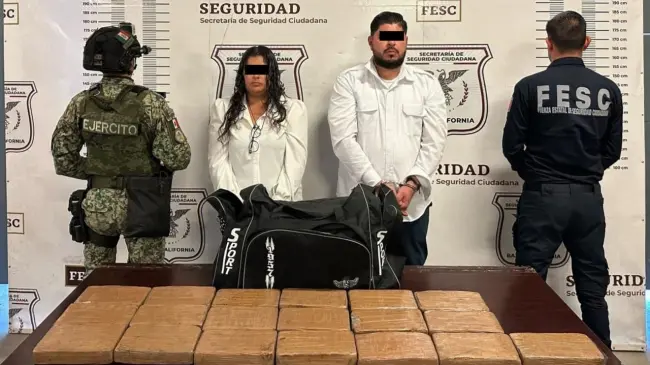 El decomiso tiene un valor de 5.3 mdp. Foto: Gob. de México