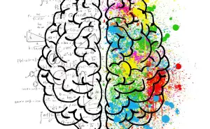 Canva y la Inteligencia Artificial: ¿Qué la vuelve tan popular?