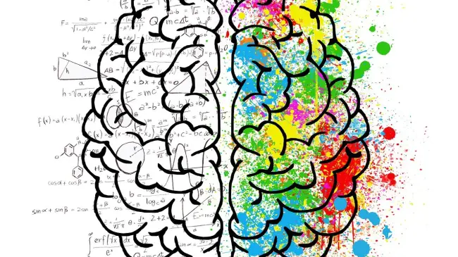Creatividad y lógica unidas. Imagen. Pixabay.