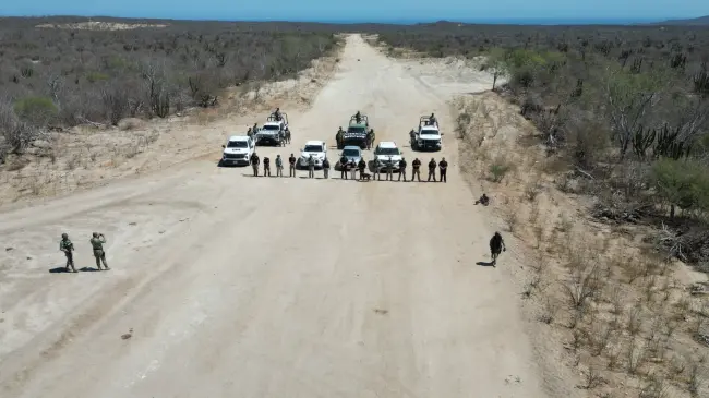 Conoce los detalles del desmantelo de una pista clandestina en Los Cabos. Foto: cortesía