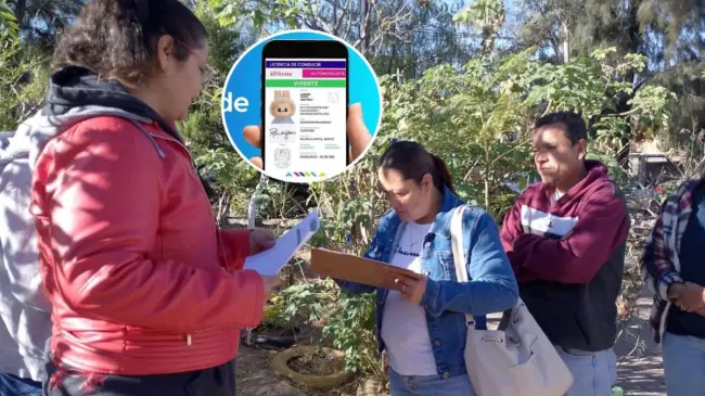Jornada de  renovación de licencia de conducir en colonia de Aguascalientes. Foto: Cortesía