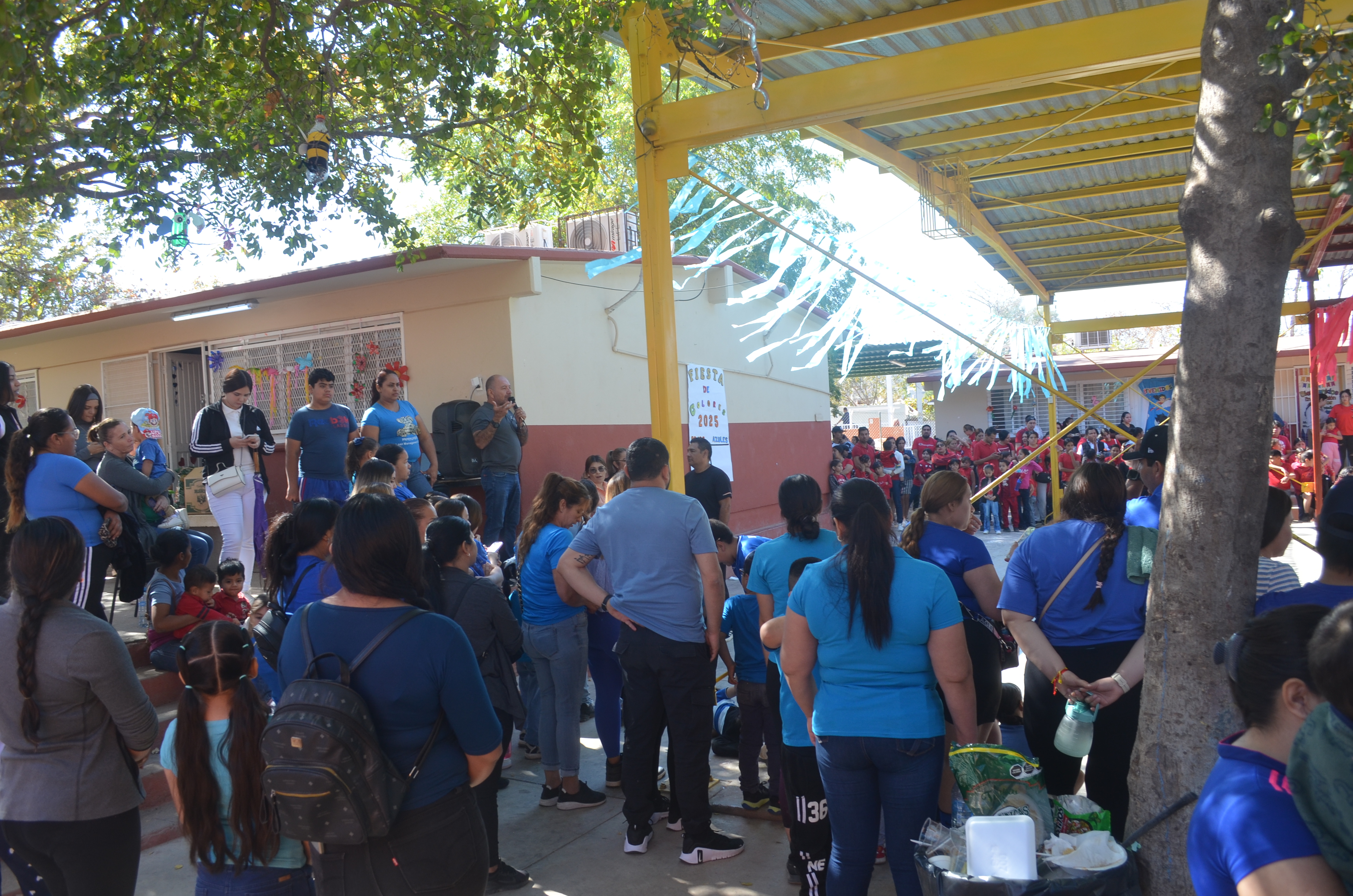 Imagen 15