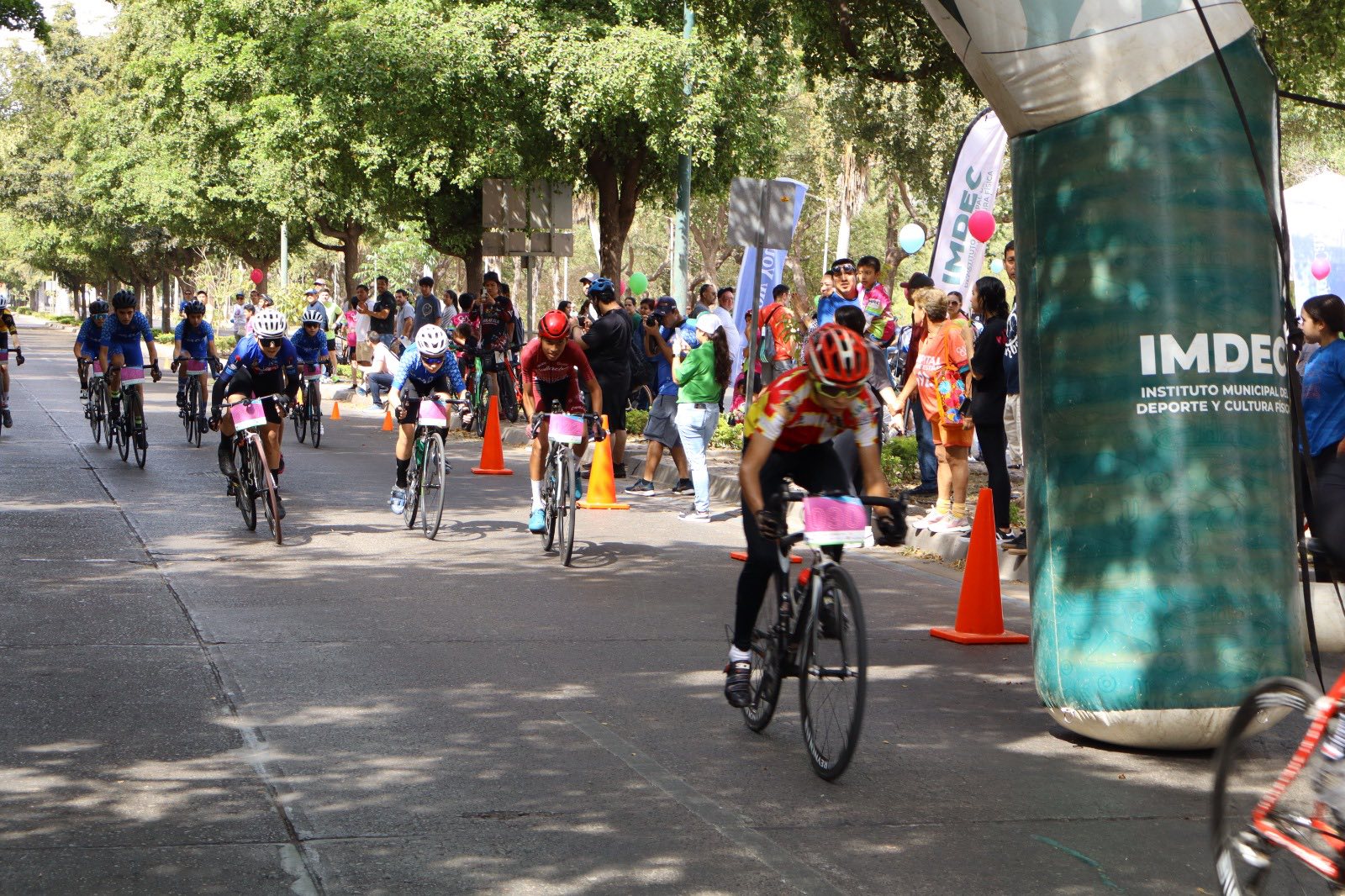 Imagen 10