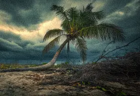 Resiliencia y adaptabilidad