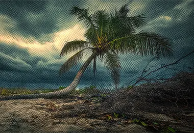 Resiliencia y adaptabilidad