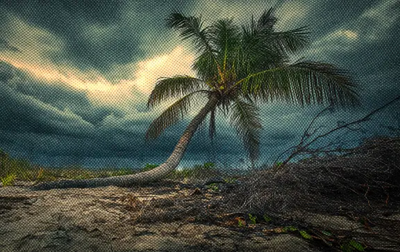 Resiliencia y adaptabilidad