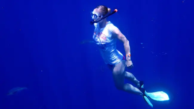 Estas son las mejores playas para practicar snorkel en Los Cabos. Foto: Tripadvisor.
