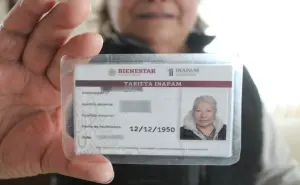 Ubica los módulos para tramitar la tarjeta INAPAM para adultos mayores