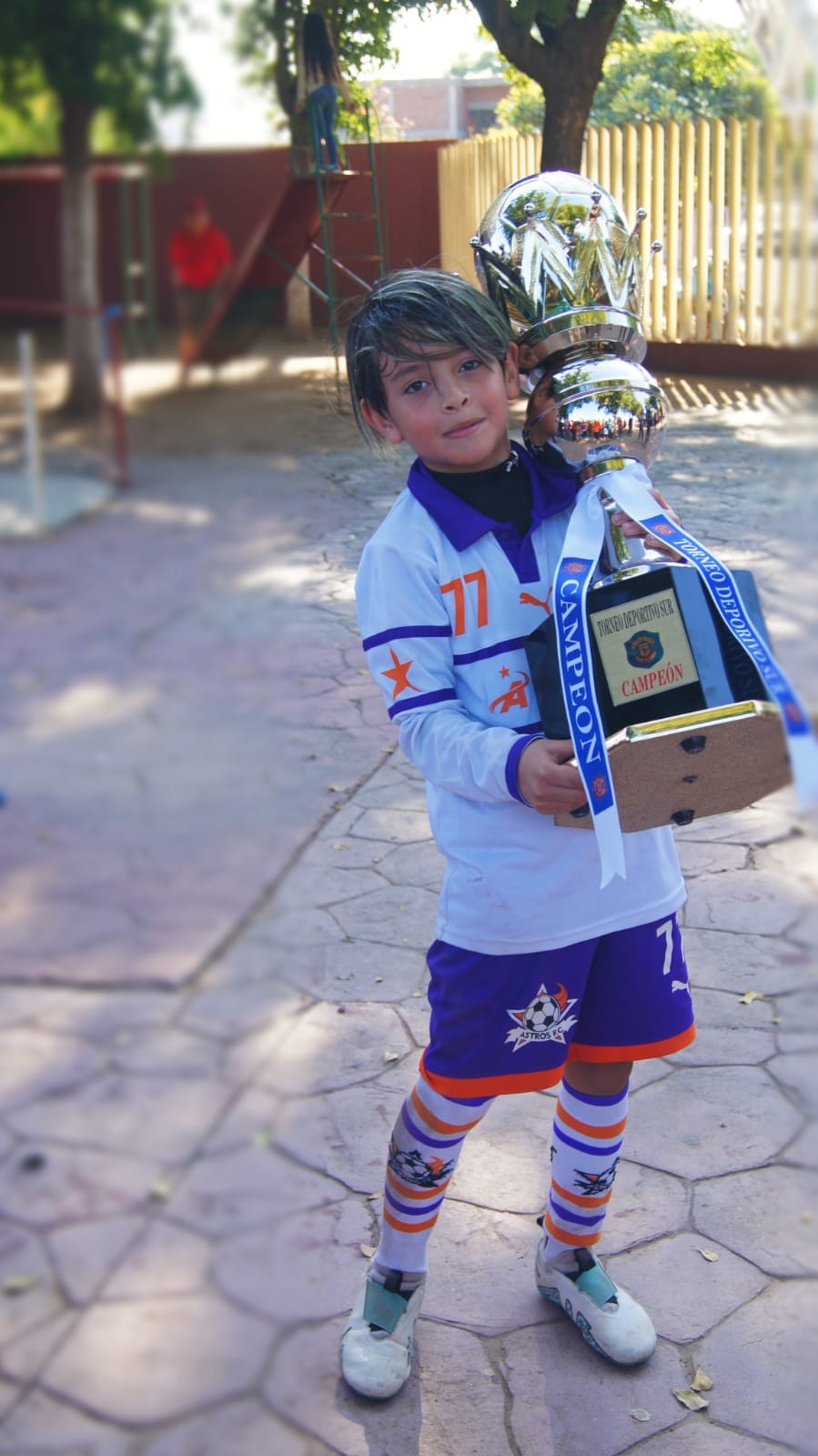 Imagen 10