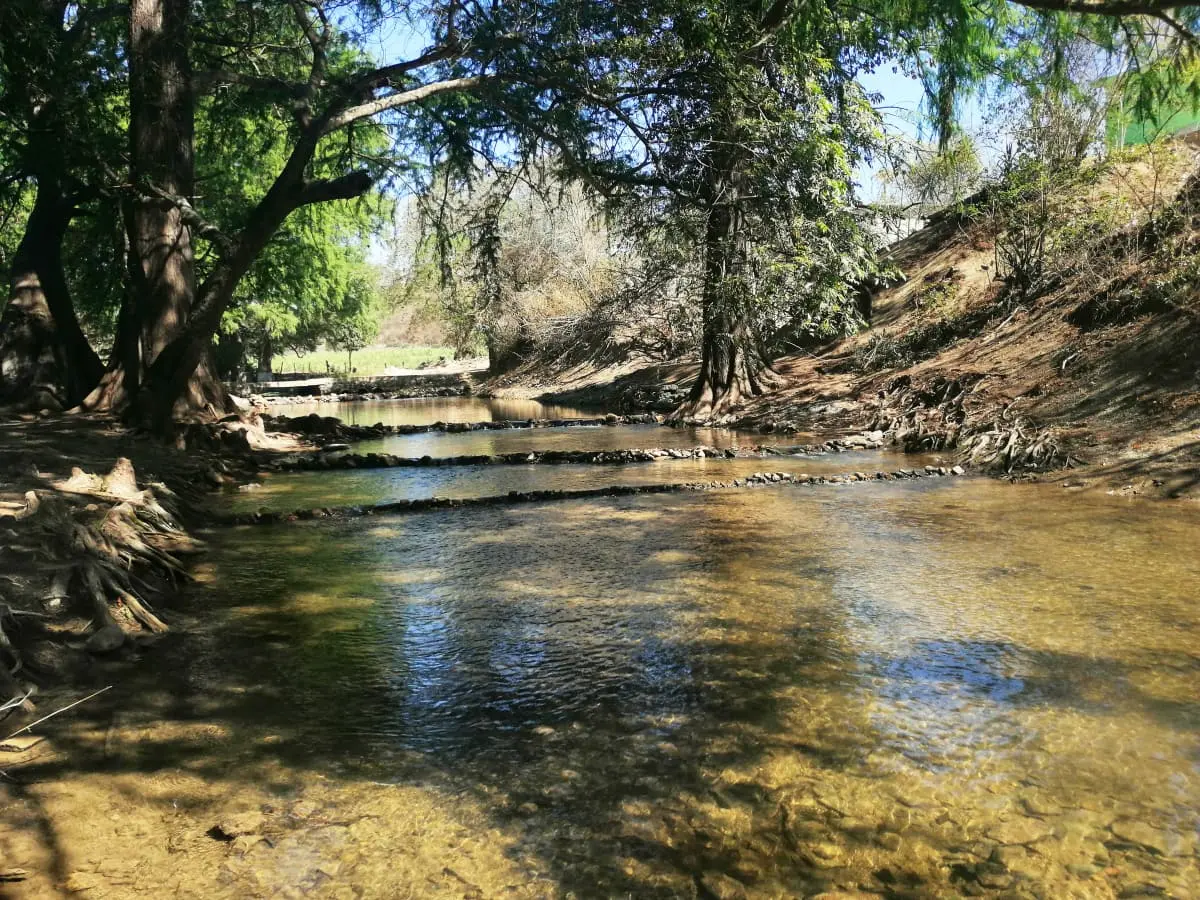 Estos son los detalles de este característico río en Tamaulipas. Foto: Gobierno de Nuevo Morelos.