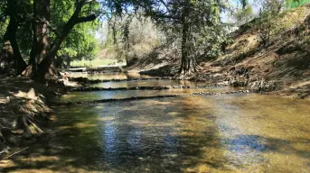 El increíble río en Tamaulipas; ideal para visitar con amigos