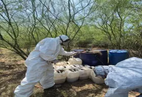 Localizan en Sinaloa centros de materiales diversos y decomisan 4 mil 976 litros de sustancias químicas