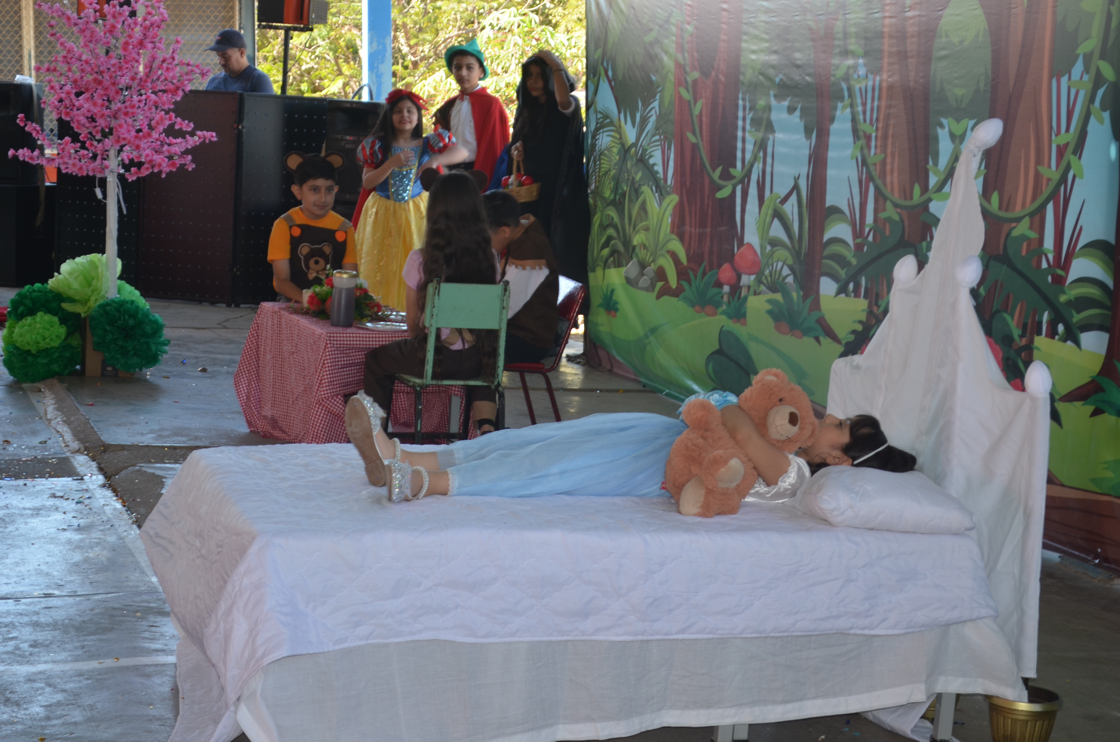 Imagen 24