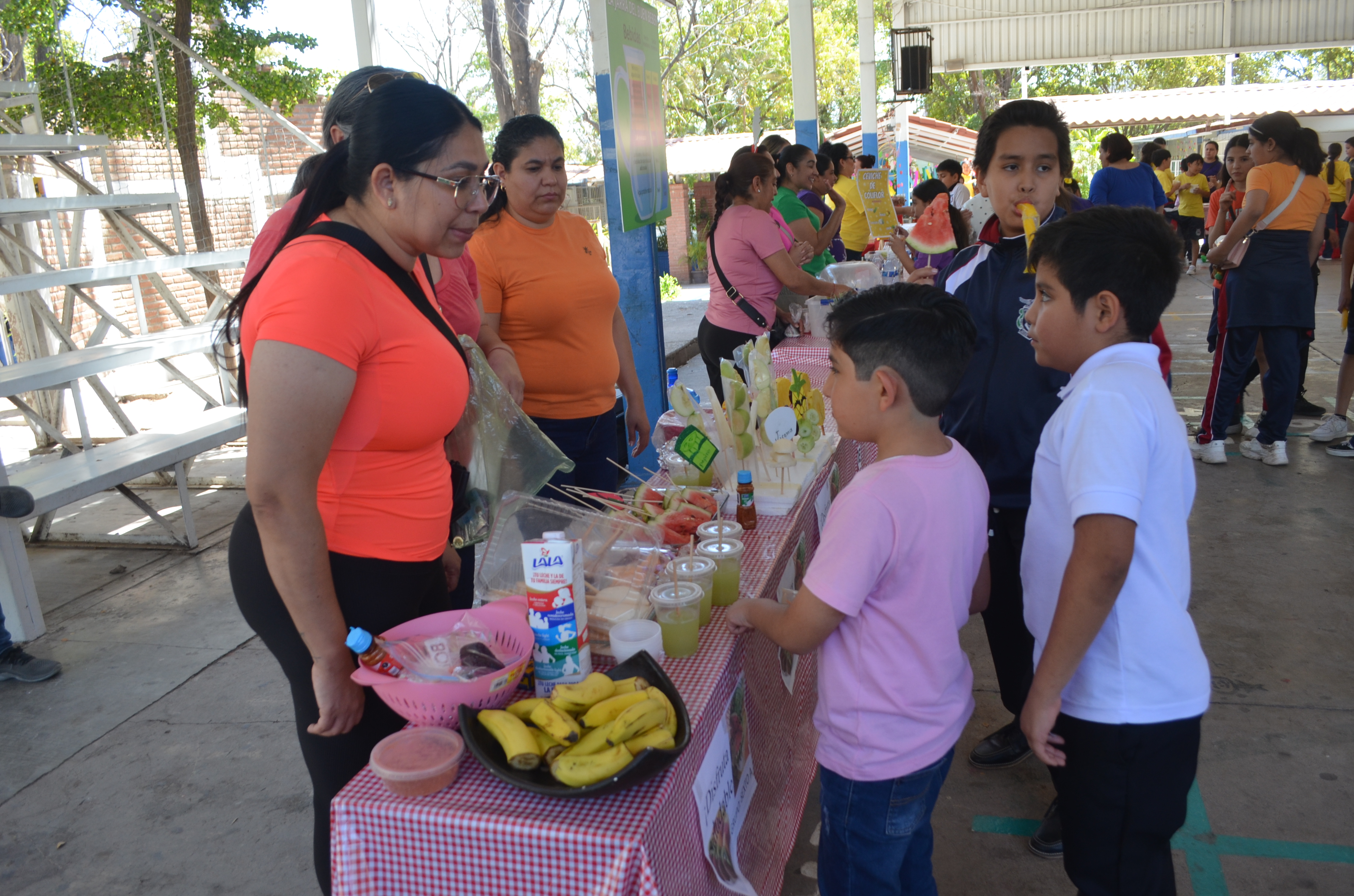 Imagen 6