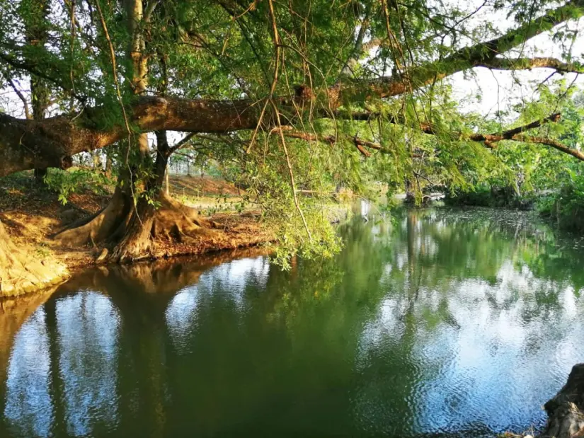Descubre el río Los Gatos en Tamaulipas. Foto: Gobierno de Nuevo Morelos.