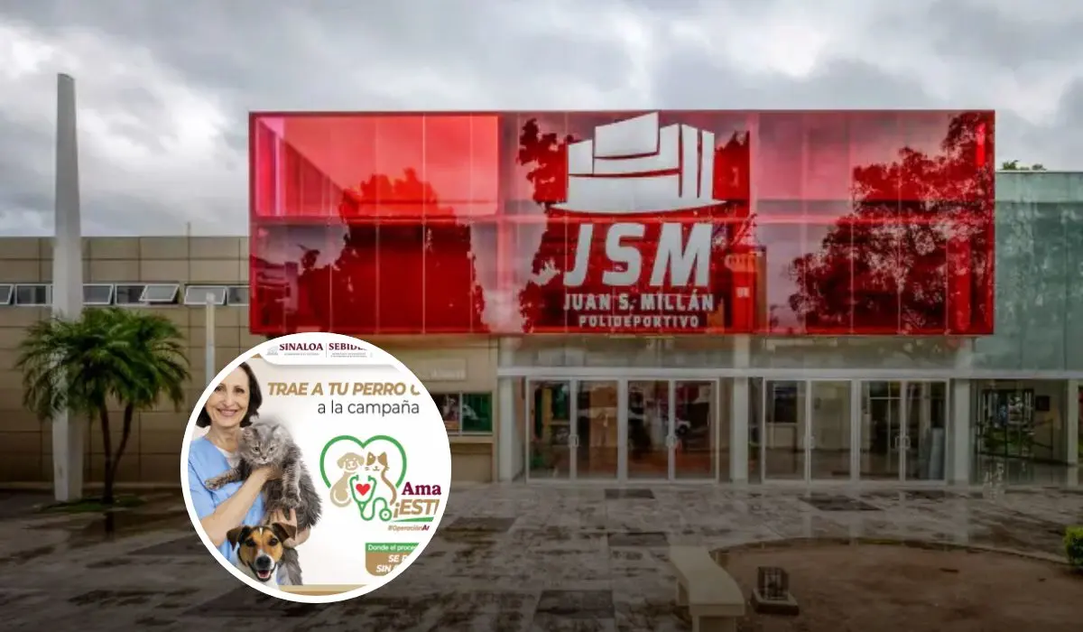 Culiacán realiza jornada de esterilización para perros y gatos: fechas y requisitos